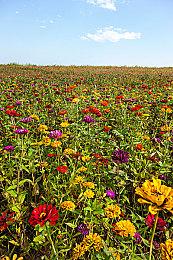 传闻：SIE不再过早公布游戏 现在最多提前2年公布新作